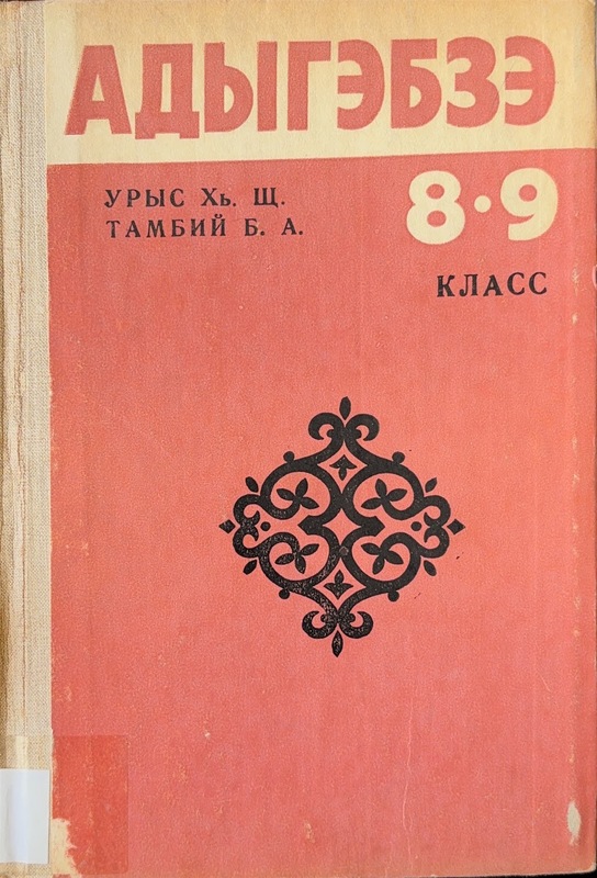 Adıgebze 8 - 9 Klass
