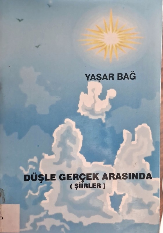 Düşle gerçek arasında (Şiirler)