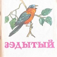 MRS-KV-KTP-D12.jpg