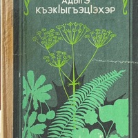 MRS-KV-KTP-D87.jpg