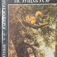 MRS-KV-KTP-C48.jpg