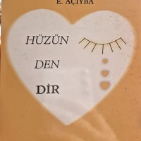 MRS-KV-KTP-H60.jpg